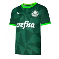 Pánský Fotbalový dres Palmeiras 2023-24 Domácí Krátký Rukáv